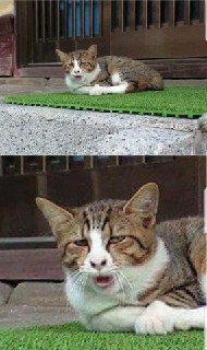 [photo](media:AgADBQAD6qoxG2tg4Vb66IuadqDR5fjEJTMABAEAAwIAA20AA-k7AAIWBA@telegram)