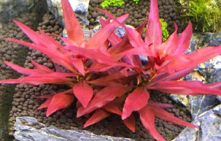 [photo](media:AgADBQAD76gxG-2hkVSPmaczlusEWDsfGzMABAEAAwIAA20AA-RrAgABFgQ@telegram)