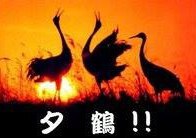 [photo](media:AgADBQAD76gxG-ImAAFV-esOWgUaY3UipfkyAAQBAAMCAANtAAN3ZwQAARYE@telegram)