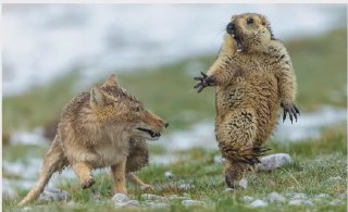 [photo](media:AgADBQAD76gxG0L8cFW_ptFW26BoiOyp-TIABAEAAwIAA20AA-H2BAABFgQ@telegram)