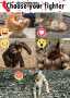 [photo](media:AgADBQAD7KgxG1gL4FVPRWUKt_TzqDhT2zIABJ2gNOMrAYOgT1gFAAEC@telegram)