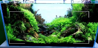 [photo](media:AgADBQAD7agxGySUSFU38zZzbtgcPzF5-TIABAEAAwIAA20AAyBfBQABFgQ@telegram)