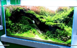 [photo](media:AgADBQAD7qgxGySUSFX35CiHSPkdcEGg-TIABAEAAwIAA20AA_vABAABFgQ@telegram)