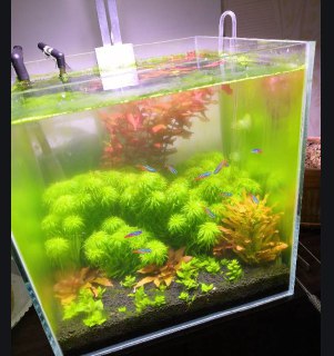 [photo](media:AgADBQAD86gxG3r96VQG-n52AQSUpvOn-TIABAEAAwIAA20AA5FIBAABFgQ@telegram)