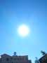 [photo](media:AgADBQAD96cxG7OwcVUbVDsVc25oP5h90DIABdLe33poRATRbgIAAQI@telegram)