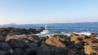 [photo](media:AgADBQAD9qgxG_azAVXEPqRX7Z41TZGz-TIABAEAAwIAA20AA95nBAABFgQ@telegram)