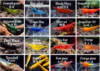 [photo](media:AgADBQADA6kxG4HKUFc2h9bNuhqrcyWh-TIABAEAAwIAA20AA5tZAgABFgQ@telegram)