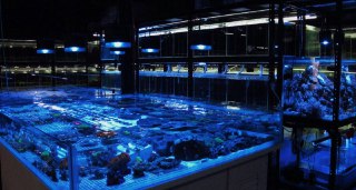 [photo](media:AgADBQADA6kxG4Q_iVdK4biCRh0HARF9-TIABAEAAwIAA20AA2UxAwABFgQ@telegram)