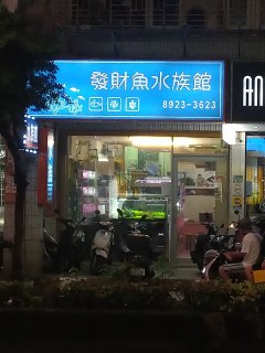 [photo](media:AgADBQADA6kxGyT3iFTPmZ2E8pNm3YWg-TIABAEAAwIAA20AAzHMAwABFgQ@telegram)