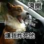[photo](media:AgADBQADAqgxGyVBSFbFbS6wV5rUbWdb0zIABD6u4x4T9WRr8SgBAAEC@telegram)