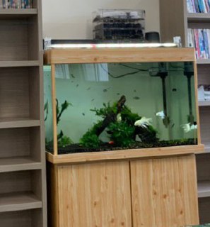 [photo](media:AgADBQADAqkxGyxFuFfN7SlW8e9p3Plx-TIABAEAAwIAA20AA69sAwABFgQ@telegram)