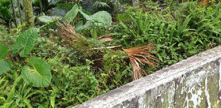 [photo](media:AgADBQADAqoxG8i5-VcX6hYZopZ6vVqC-TIABAEAAwIAA20AA9i9AwABFgQ@telegram)