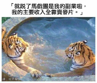 [photo](media:AgADBQADB6kxGy2vUFanH_388hUkNTIXGzMABAEAAwIAA20AAw4SAAIWBA@telegram)