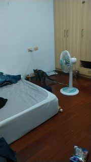 [photo](media:AgADBQADBKkxG3BNAAFWtuwN9O6LL12qUvYyAAQBAAMCAANtAAPvSwYAARYE@telegram)