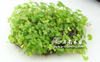 [photo](media:AgADBQADBakxGwt6CFSp1yrTFv_1IoymJTMABAEAAwIAA20AAzJKAQABFgQ@telegram)