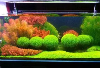 [photo](media:AgADBQADCKkxG5gwYVdp6NPSReqMJhCKAjMABAEAAwIAA20AA8txAQABFgQ@telegram)