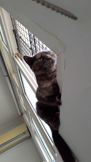 [photo](media:AgADBQADCqoxG03paFXTknCKQZ6YNze2-TIABAEAAwIAA20AAx70BAABFgQ@telegram)