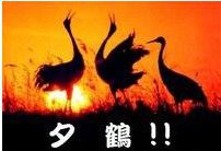 [photo](media:AgADBQADD6kxG7KCCVVBPIkUt6Zs6juD-TIABAEAAwIAA20AA_QOBQABFgQ@telegram)