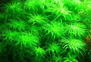 [photo](media:AgADBQADDakxGyxFuFdmaThBSnrDIsCD-TIABAEAAwIAA20AA_trAwABFgQ@telegram)