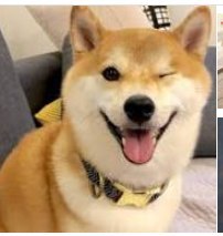 [photo](media:AgADBQADE6kxG5ciMFViQzbW1exYmD8YGzMABAEAAwIAA20AA_8EAwABFgQ@telegram)