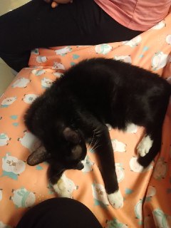 [photo](media:AgADBQADE6oxG3uy0VSO6z1fFjt6kpW2-TIABAEAAwIAA20AA50lBAABFgQ@telegram)