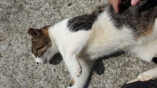 [photo](media:AgADBQADEakxG8wKYVWf1OjaCHVoF2d4-TIABAEAAwIAA20AA-OHBQABFgQ@telegram)