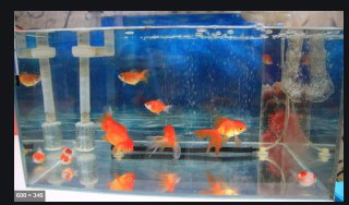 [photo](media:AgADBQADEaoxGwGUuFfnLEUbDNuhKVU2GzMABAEAAwIAA20AA8mPAQABFgQ@telegram)