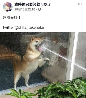 [photo](media:AgADBQADEqkxG_qgSVUBkBZNtehZGWSk-TIABAEAAwIAA20AAwu5BAABFgQ@telegram)