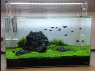 [photo](media:AgADBQADEqoxGwGUuFem4KLYwf7RyaQlGzMABAEAAwIAA20AA0iOAQABFgQ@telegram)