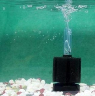 [photo](media:AgADBQADF6kxGwGUwFfrQkuLRGbd1wy0JTMABAEAAwIAA20AA9b7AAIWBA@telegram)