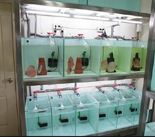 [photo](media:AgADBQADG6kxGwGUwFcnH5YbbeeHxj8SGzMABAEAAwIAA20AA_6RAQABFgQ@telegram)