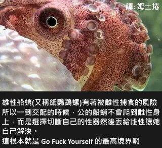 [photo](media:AgADBQADGKkxG2UIIVbB_YAxH4x1AtyHAjMABAEAAwIAA20AAwIJAAIWBA@telegram)
