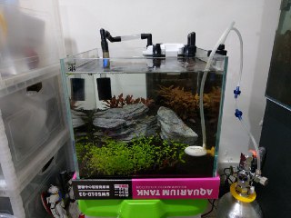 [photo](media:AgADBQADGakxGwsJSFU2tWyDbt1pGCM_GzMABAEAAwIAA20AAwMiAwABFgQ@telegram)