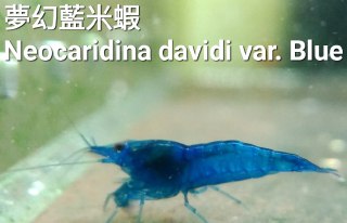 [photo](media:AgADBQADH6kxG3HAKFdQDfEmMwAB7sYAAbD5MgAEAQADAgADbQADtSgCAAEWBA@telegram)