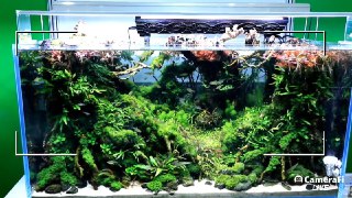 [photo](media:AgADBQADHKkxGyknSVU6WmTYVl73aaZ6-TIABAEAAwIAA20AA1daBQABFgQ@telegram)