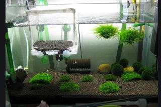 [photo](media:AgADBQADHakxGwGUwFc42ZbT3ElJbWqtJTMABAEAAwIAA20AAysCAQABFgQ@telegram)