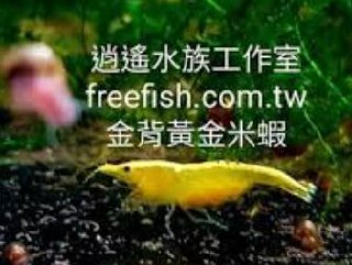 [photo](media:AgADBQADI6kxG2x5wFcpEuAX9E6LmbKjJTMABAEAAwIAA20AAwUBAQABFgQ@telegram)