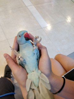 [photo](media:AgADBQADI6kxGxPxAAFXHiLy4SLkCXuBiAIzAAQBAAMCAANtAAOw9wACFgQ@telegram)