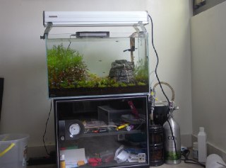 [photo](media:AgADBQADI6kxGxo86FRpkQnSvlvQ-7GA-TIABAEAAwIAA20AA_XiBAABFgQ@telegram)