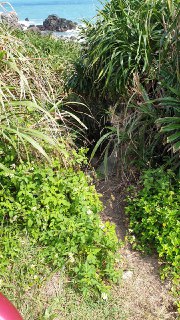 [photo](media:AgADBQADIKkxGwABlWFVGI55DUA4AAHekXH5MgAEAQADAgADbQADvXgFAAEWBA@telegram)