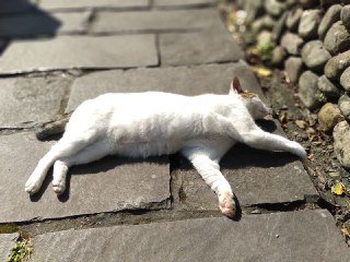 [photo](media:AgADBQADIakxGz9_gFZKeBflNPoeRkg4GzMABAEAAwIAA20AAwVCAAIWBA@telegram)