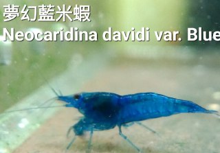 [photo](media:AgADBQADIqkxG2x5wFcgGcaLV3_KfYY0GzMABAEAAwIAA20AAxqWAQABFgQ@telegram)