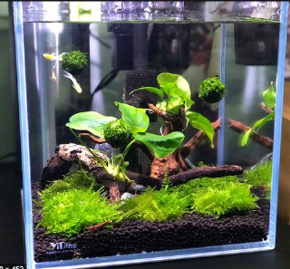 [photo](media:AgADBQADJ6kxGwABlWFVGJzdpStE5rpxigIzAAQBAAMCAANtAAOf5wMAARYE@telegram)