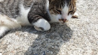 [photo](media:AgADBQADJKkxGwABlWFVC-8GHCZJ2VUciAIzAAQBAAMCAANtAAPz5gMAARYE@telegram)