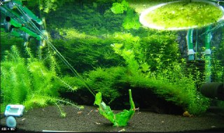 [photo](media:AgADBQADJakxG2x5wFeMBd7PF-eVgyEVGzMABAEAAwIAA20AA-aWAQABFgQ@telegram)