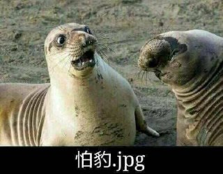 [photo](media:AgADBQADJakxGxNx6FeykbKsH-9Zmtu3-TIABAEAAwIAA20AA3UCAwABFgQ@telegram)