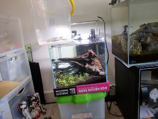 [photo](media:AgADBQADK6kxG0KJmFTmhUQmXfaBZsnEJTMABAEAAwIAA20AA9fUAQABFgQ@telegram)