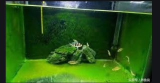 [photo](media:AgADBQADK6kxG6nh2FZ_cNABSY1mzDd_-TIABAEAAwIAA20AA_RmAgABFgQ@telegram)