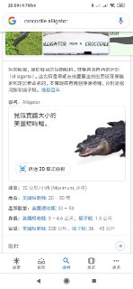 [photo](media:AgADBQADKqkxG6c3OFSxDe6ltlwbuYM1GzMABAEAAwIAA20AA84TAgABFgQ@telegram)
