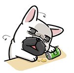 [photo](media:AgADBQADKqkxG7tLiFQaXI0TdFd-mEJ2-TIABAEAAwIAA20AAz9wBAABFgQ@telegram)